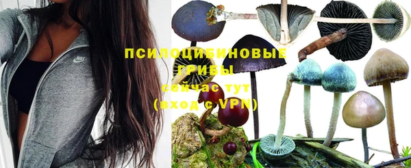 бутик Осинники