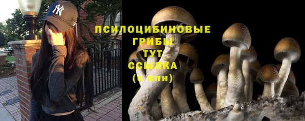 марки lsd Осташков