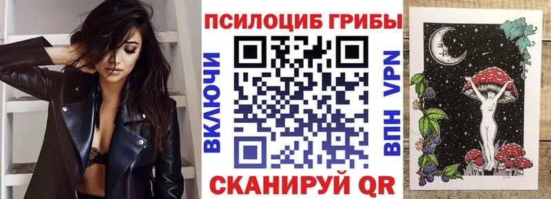 магазин  наркотиков  Прохладный  Галлюциногенные грибы MAGIC MUSHROOMS 